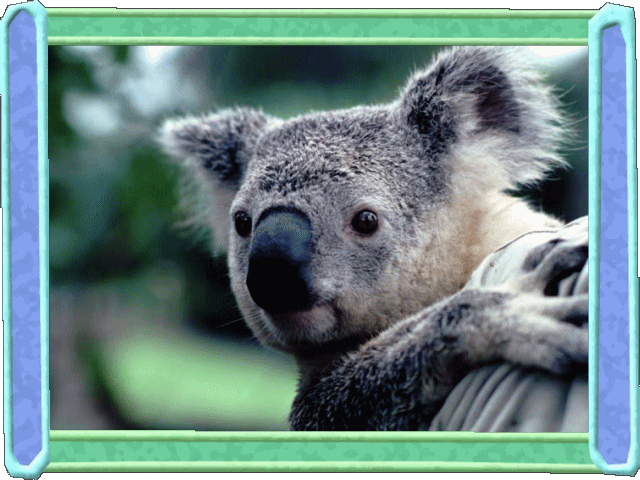 �t���[��